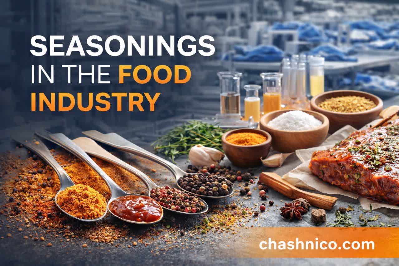 چاشنی ها در صنعت غذا- نمای مفهومی